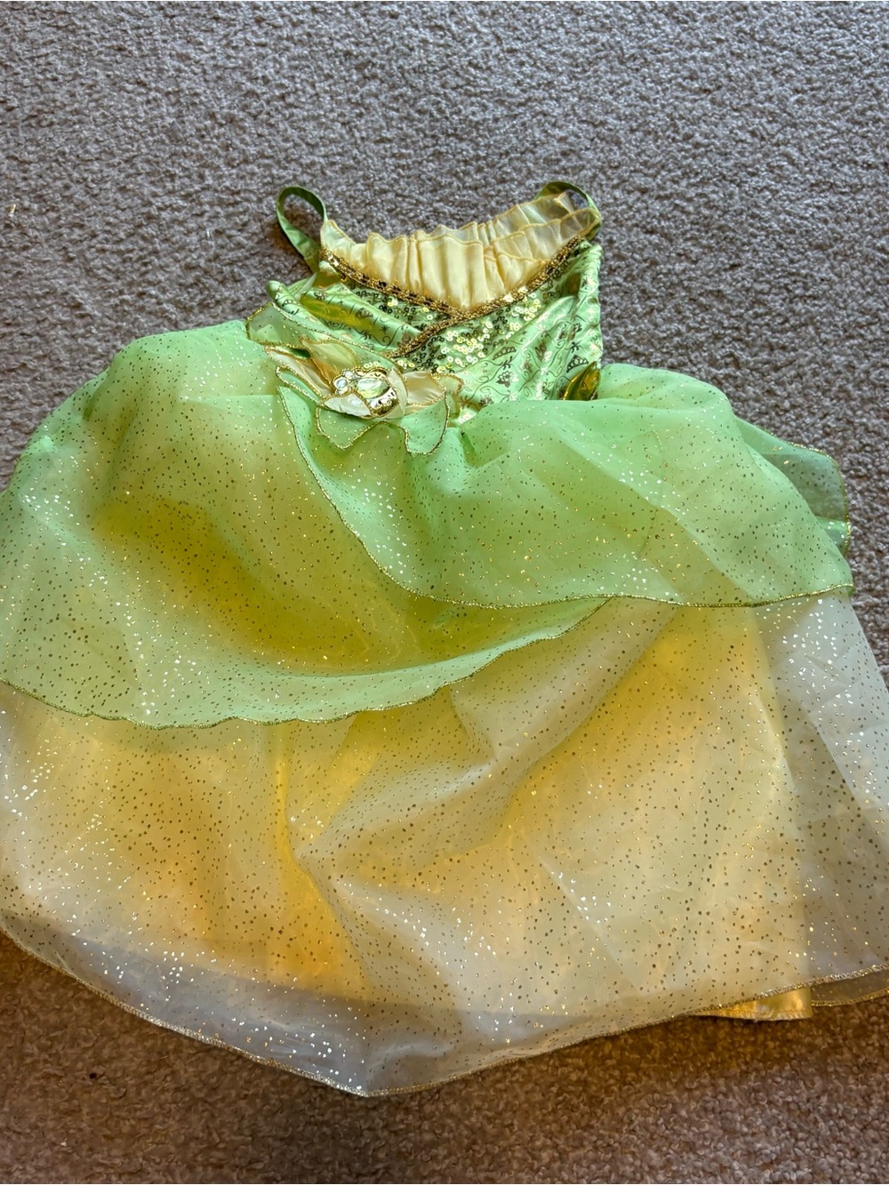Disney Store Princess and the Frog Tiana Dress Sz 3 Costume Halloween World